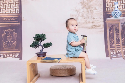 自贡可爱的企鹅宝宝